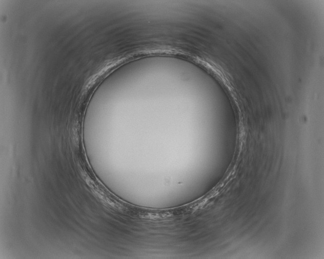 X0000085750345200703160843