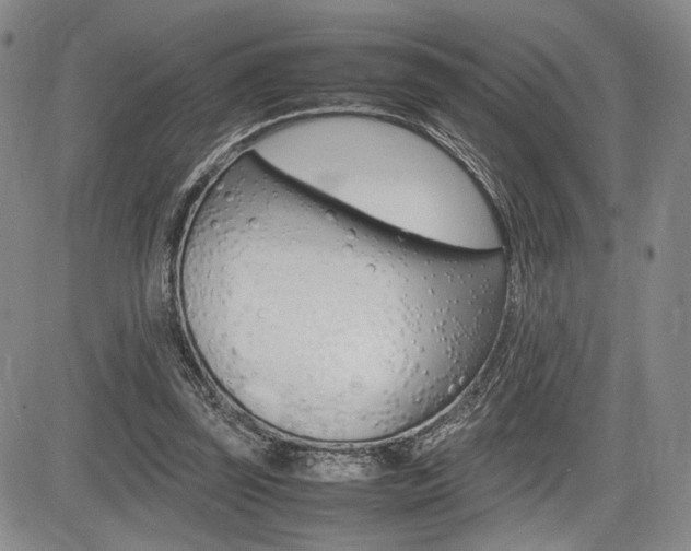 X0000085750347200703160843