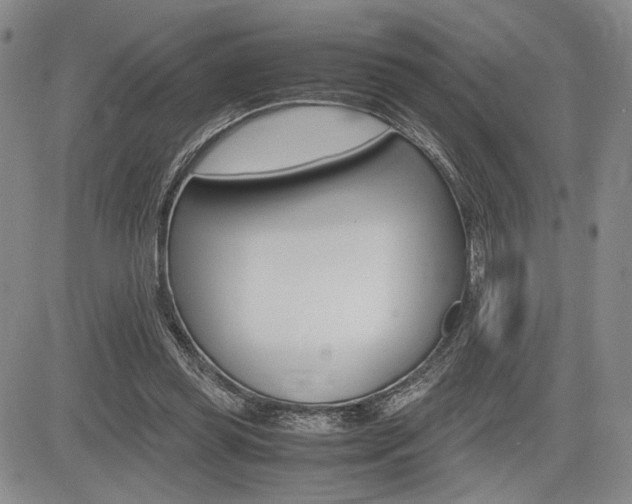 X0000085750349200703160843