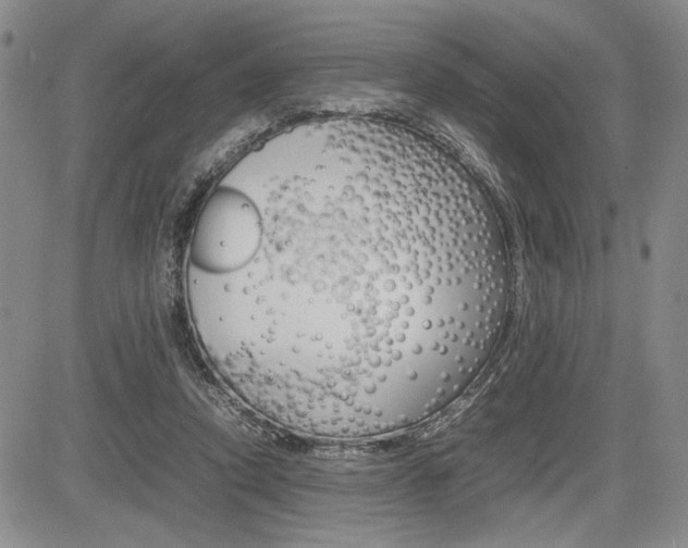 X0000085750354200703160843