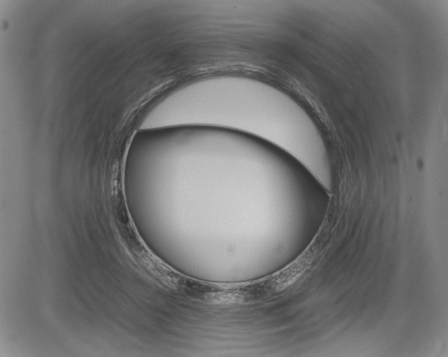 X0000085750356200703160843