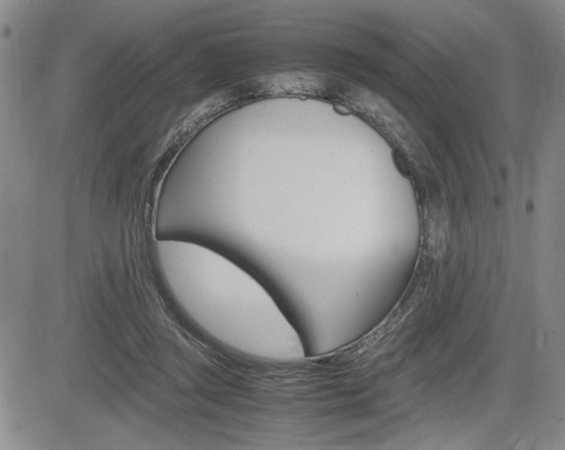 X0000085750357200703160843