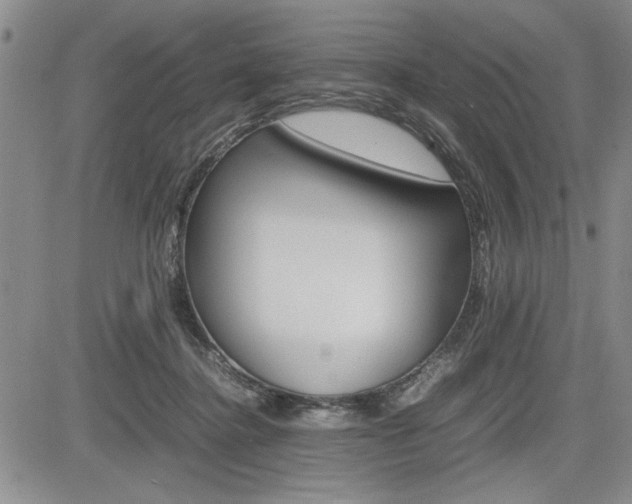 X0000085750364200703160844