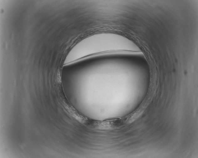 X0000085750384200703160844