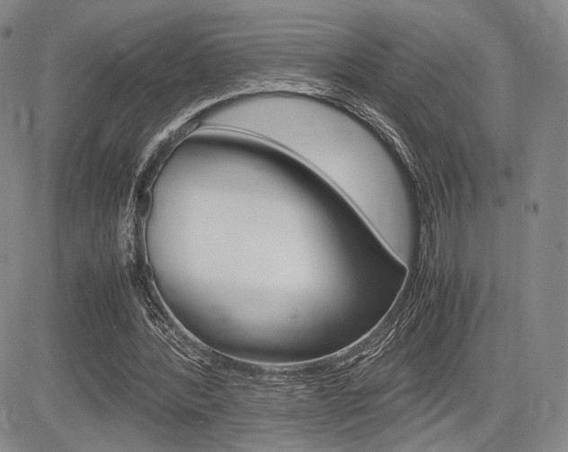 X0000085750388200703160843