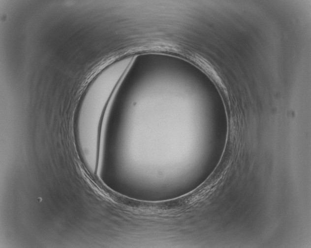 X0000085750389200703160843