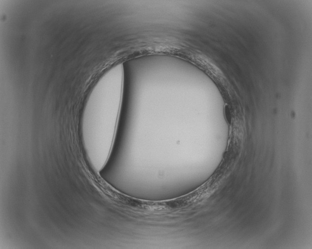 X0000085750401200703160843