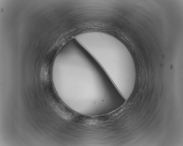 X0000085750408200703160843