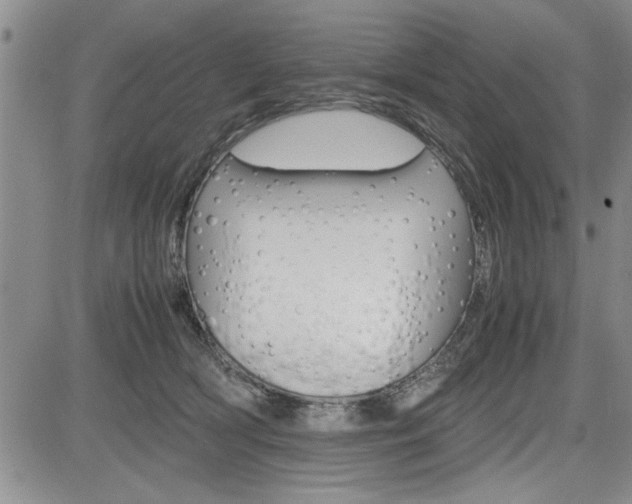 X0000085750418200703160843