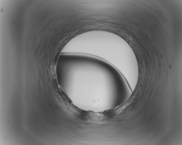 X0000085750429200703160842