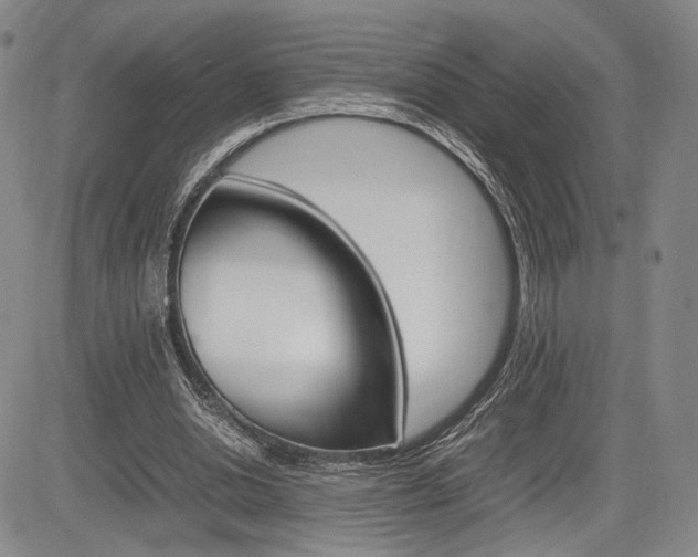 X0000085750438200703160842