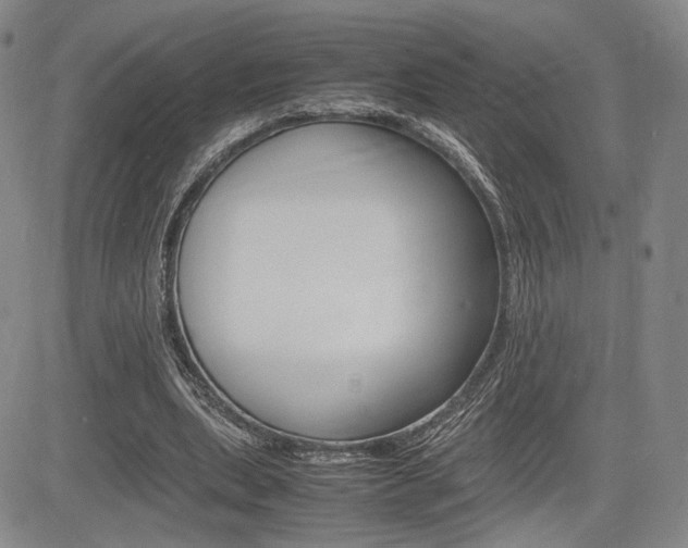 X0000085750439200703160842