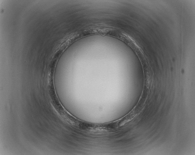X0000085750451200703160842