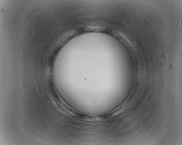 X0000085750459200703160842