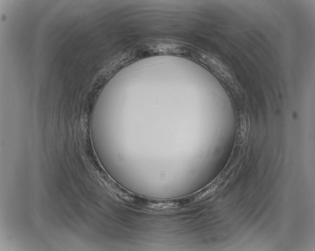 X0000085750461200703160842