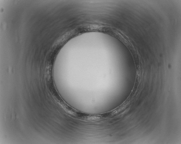 X0000085750462200703160842