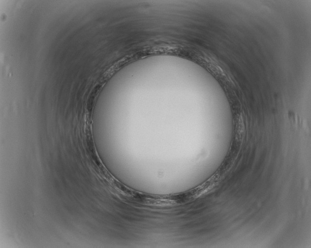 X0000085750463200703160842