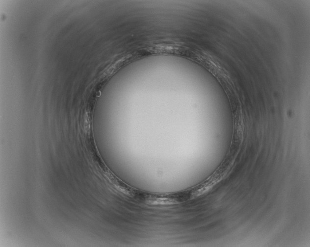 X0000085750467200703160842