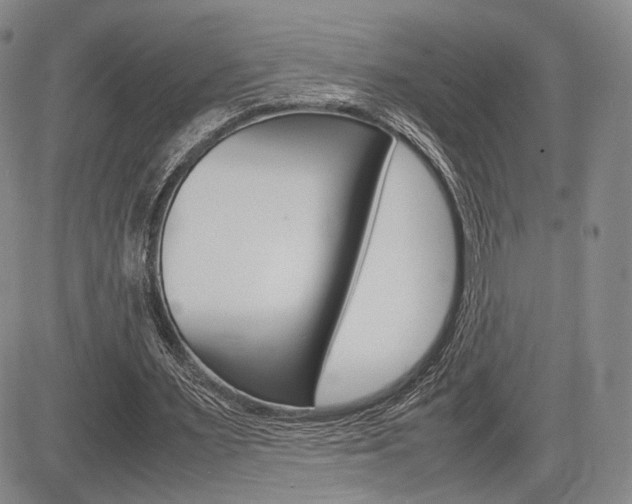X0000085750483200703160841