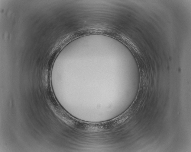 X0000085750494200703160841