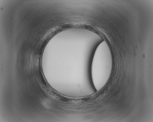 X0000085750495200703160841