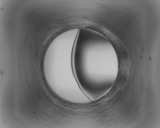X0000085750501200703160841