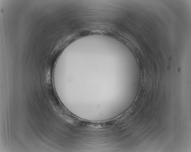 X0000085750502200703160841