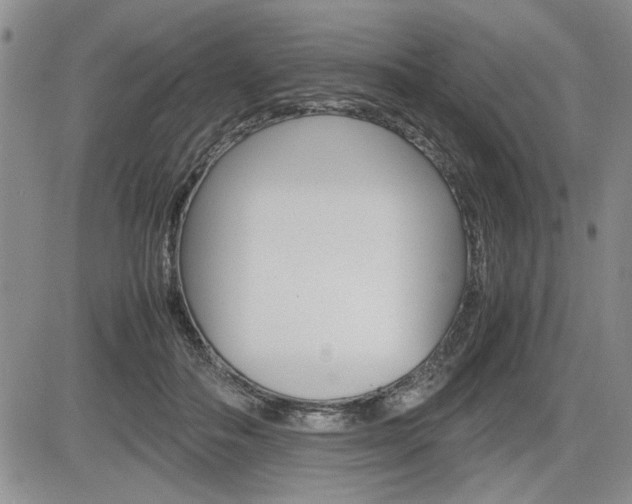 X0000085750506200703160841