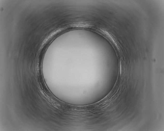 X0000085750531200703160840