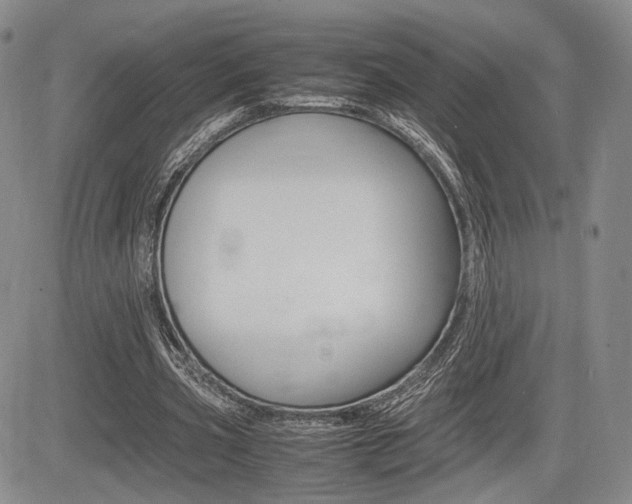 X0000085750533200703160840