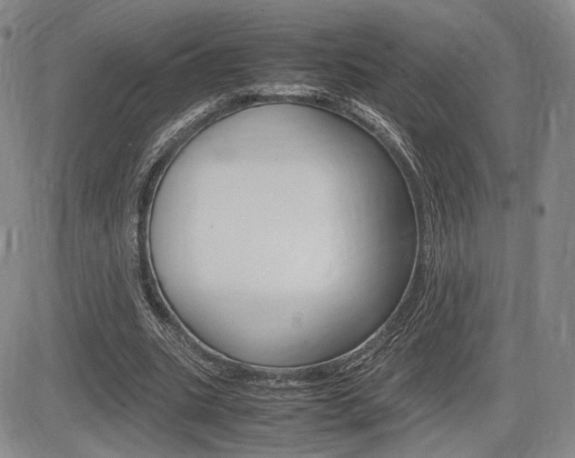 X0000085750535200703160840