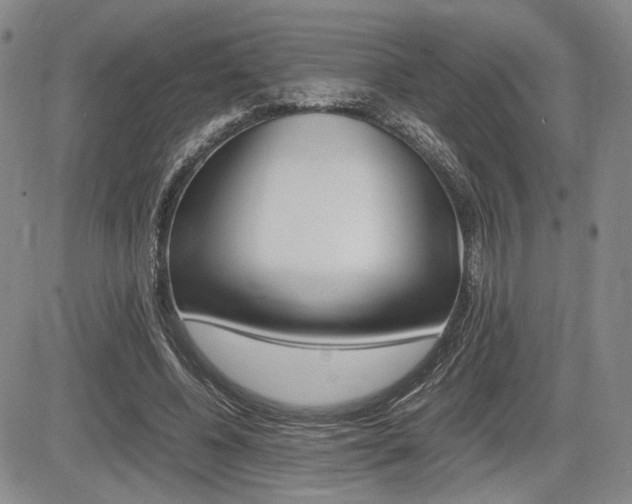 X0000085750540200703160840