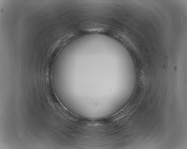 X0000085750547200703160840