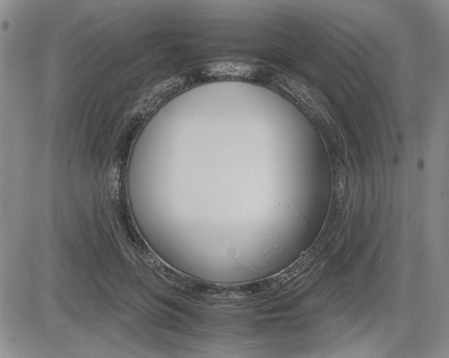 X0000085750551200703160840
