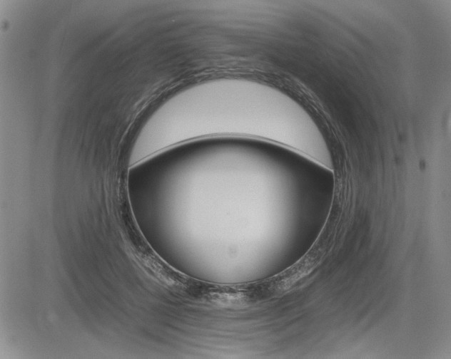 X0000085750552200703160840