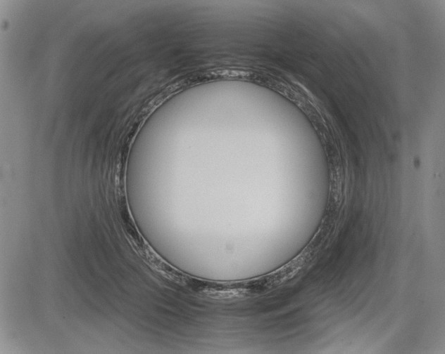 X0000085750553200703160840