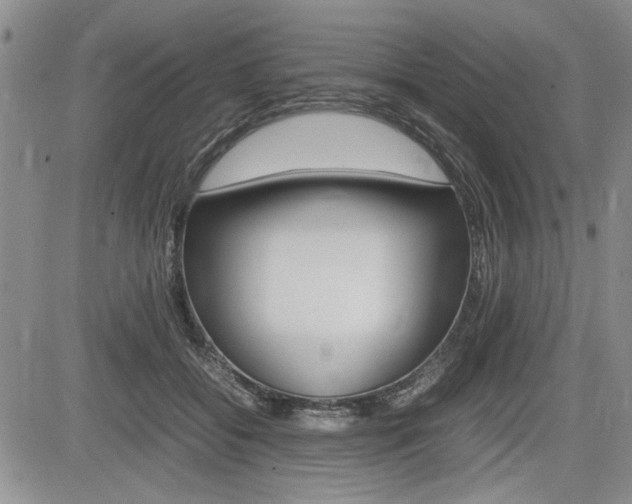 X0000085750556200703160840