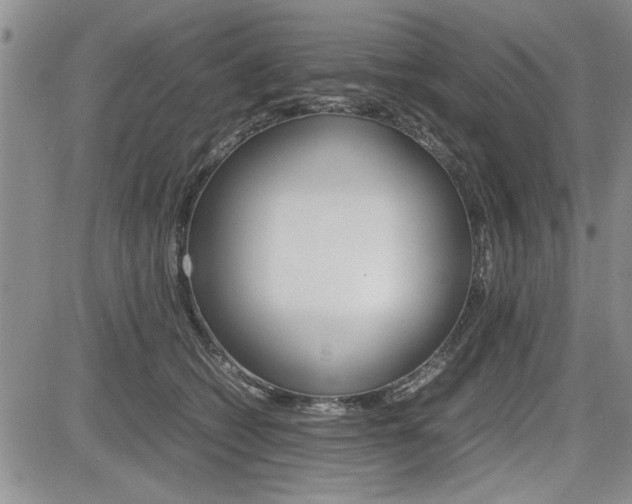 X0000085750562200703160840