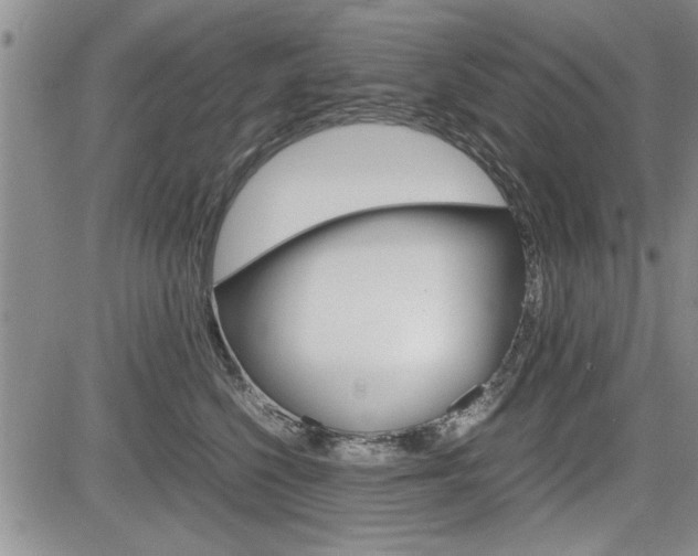 X0000085750568200703160841