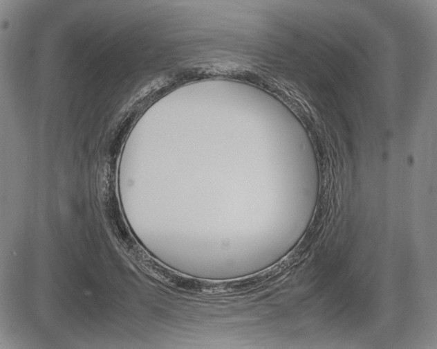 X0000085750591200703160840