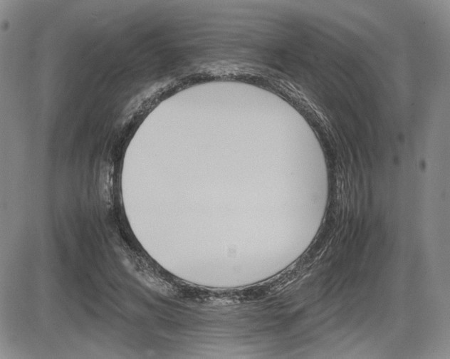 X0000085750592200703160840