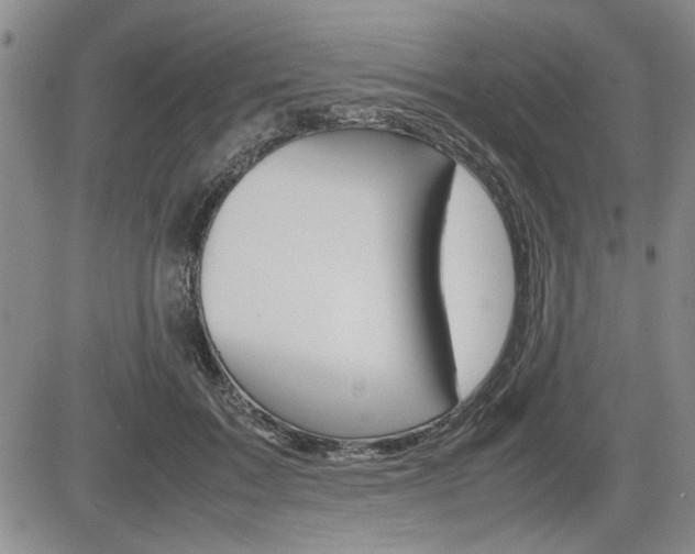 X0000085750603200703160839