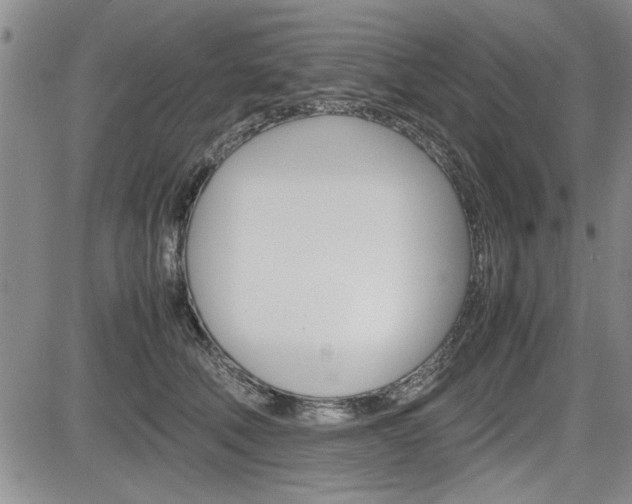 X0000085750610200703160839