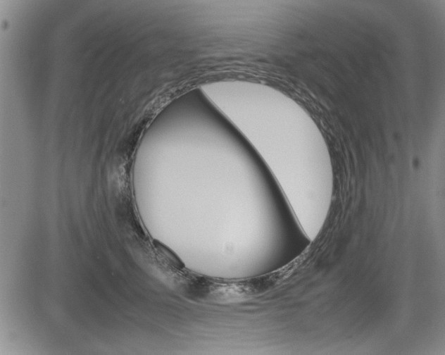 X0000085750611200703160839