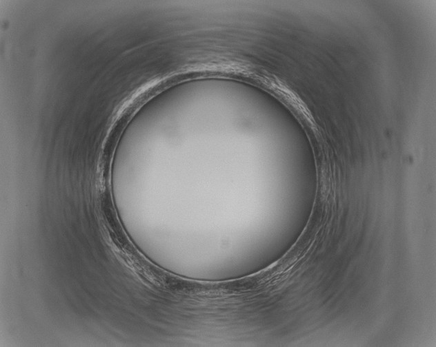 X0000085750628200703160838