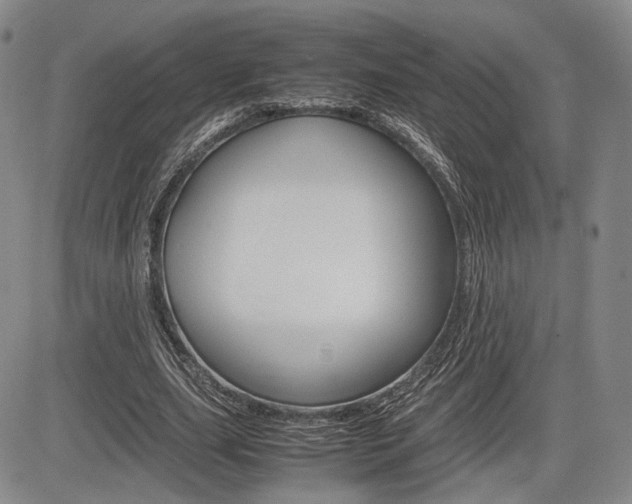 X0000085750631200703160838