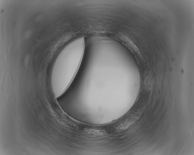 X0000085750635200703160838