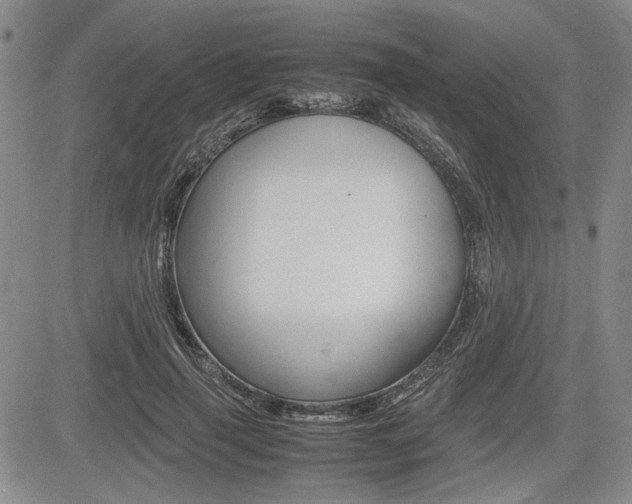 X0000085750645200703160839