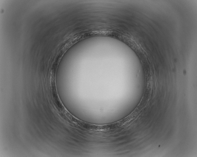 X0000085750647200703160839