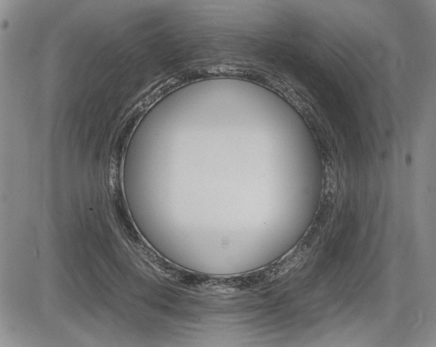 X0000085750648200703160839
